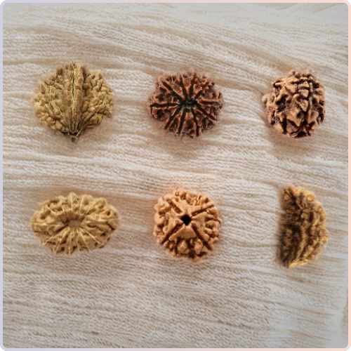 Rudraksha Bead – Divine Protection & Inner Peace