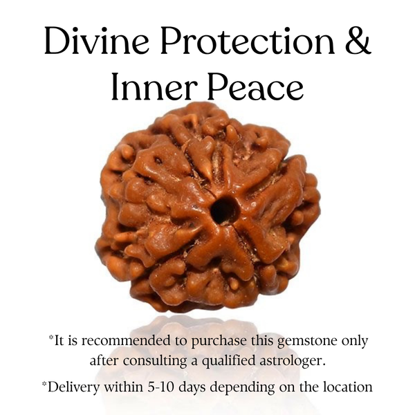 Rudraksha Bead – Divine Protection & Inner Peace